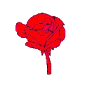 1_ggnosis