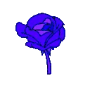 1_ggnosis