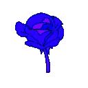 1_ggnosis
