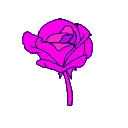 1_ggnosis