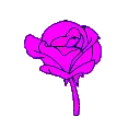 1_ggnosis
