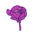 1_ggnosis