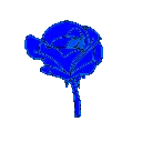 1_ggnosis