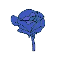 1_ggnosis