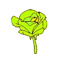 1_ggnosis
