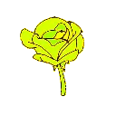 1_ggnosis