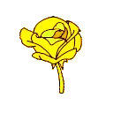 1_ggnosis