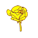 1_ggnosis