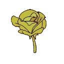 1_ggnosis