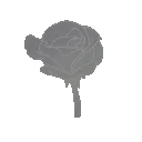 1_ggnosis
