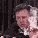 elon