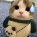 CatStress