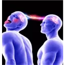 4018memebrain11