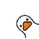 fph_panicducky