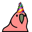 5918_birthdaypartyparrot