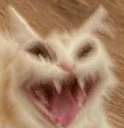 AAAAAA