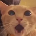 shocked