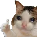 ok