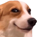 :Dog_Smile_NKTR: