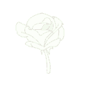 35128flowerwhite
