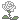 80_rose