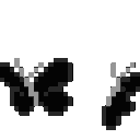 8_butterflies