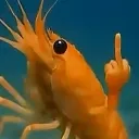 fyou