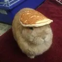 aww