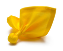 Flag custom emote from The Professional's League