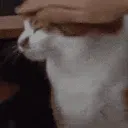 Emoji patpat