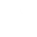 Path_Preservation