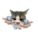 67
