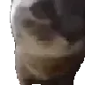 chippichappa