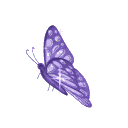 :a_butterfly: