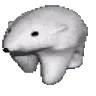 walkinpolarbear