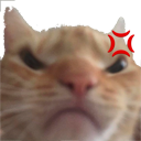 catmad