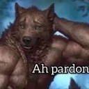 alphadaddy