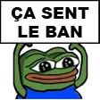 Frog_CaSentLeBan_oslo
