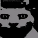 creepycat