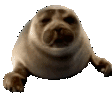2seal
