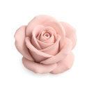 A 3D rendered pastel pink rose flower with soft petals.