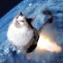 mooncat Discord emoji