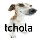 A Jack Russell Terrier with a distorted, wide-angle face looking smugly at the camera with the text tchola underneath.