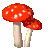 Shroom