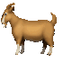 :88964rainbowgoat: