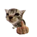 fagU