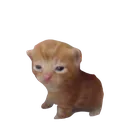 catsmol