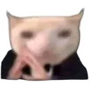 Elgatooffer