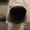 sniffdog