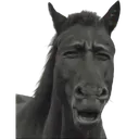 horseeugh